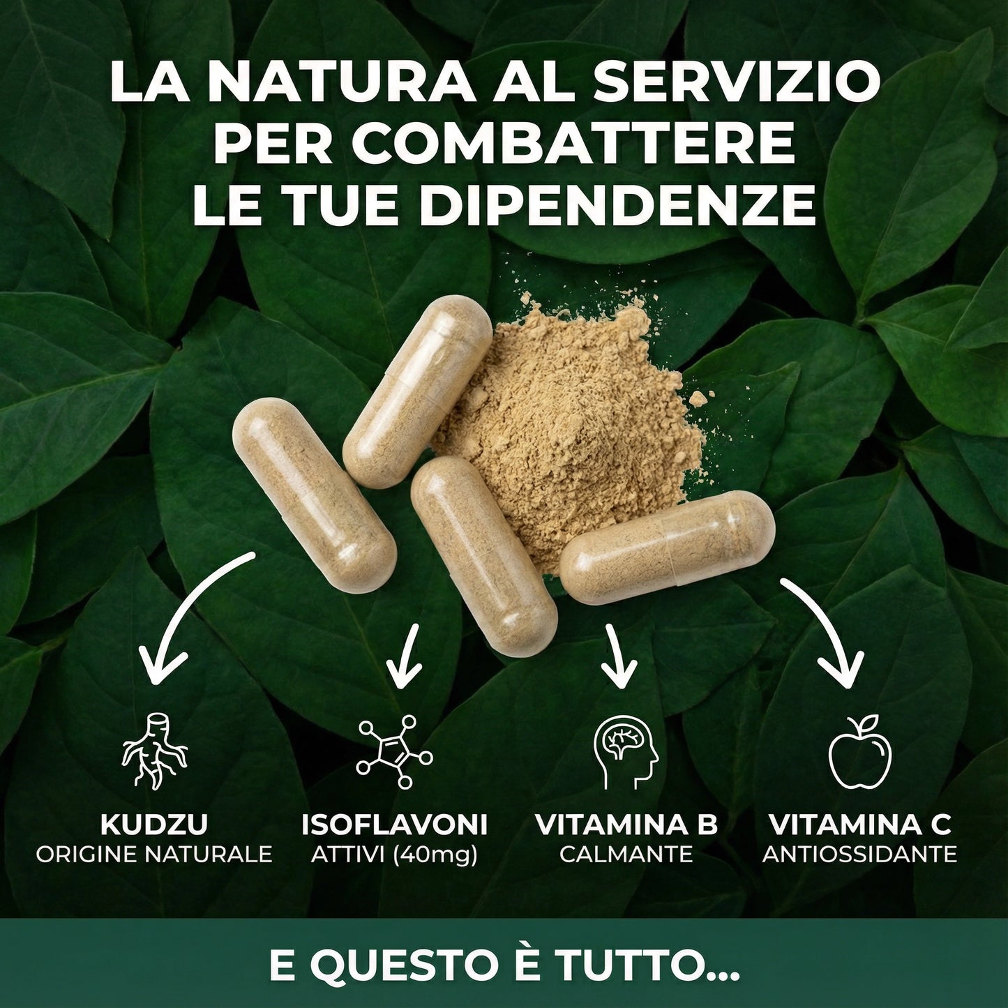 Kudzu Solvia 40 mg di isoflavoni – 100% naturale