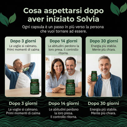 Kudzu Solvia 40 mg di isoflavoni – 100% naturale