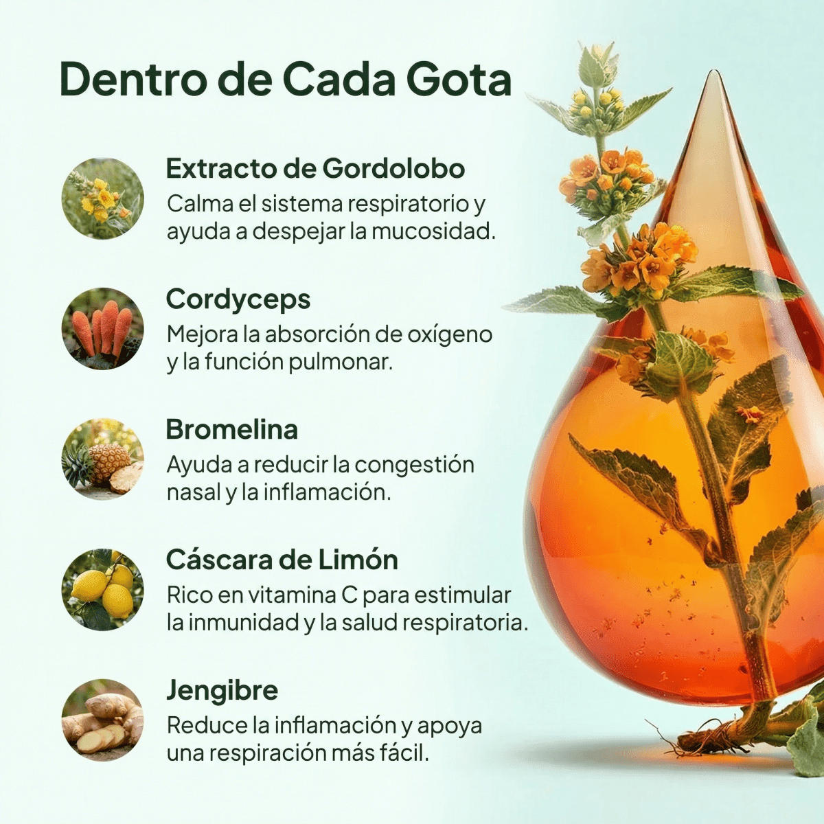 ¡Elimina el alquitrán del tabaco y recupera una respiración fácil en solo 7 días! - Solvia IT