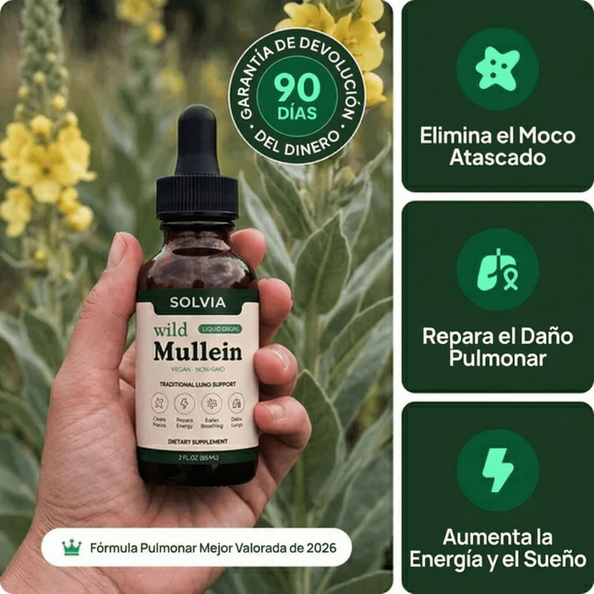 ¡Elimina el alquitrán del tabaco y recupera una respiración fácil en solo 7 días! - Solvia IT